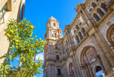 Tour guiado por Málaga: Centro Histórico